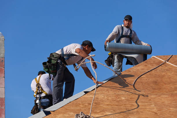Best Roof Waterproofing Services  in Toppers, OK